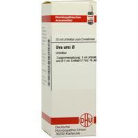 Uva Ursi Urt null