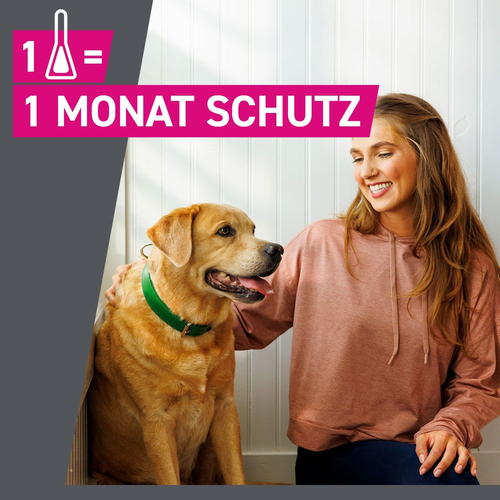 Frontline Tri-Act Hu 10-20 6 St Boehringer Ingelheim Vetmedica Gmbh bei onfy.de kaufen 16359884
