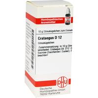Crataegus D12 null