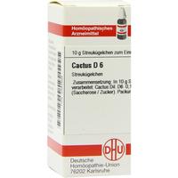 Cactus D 6 null