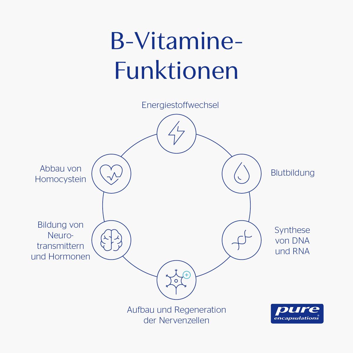 Pure Encapsulations B-Complex 30 St pro medico bei onfy.de kaufen 19433026