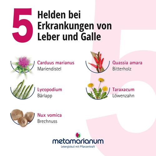 Metamarianum Leberglobuli 10 g meta Fackler Arzneimittel bei onfy.de kaufen 19226899