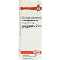Cardiospermum D 6 null