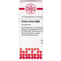 Cicuta Virosa D200 null
