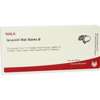 Iscucin Mali Staerke B null