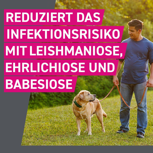 Frontline Tri-Act Hu 10-20 6 St Boehringer Ingelheim Vetmedica Gmbh bei onfy.de kaufen 16359884