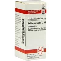 Bellis Perennis D12 null
