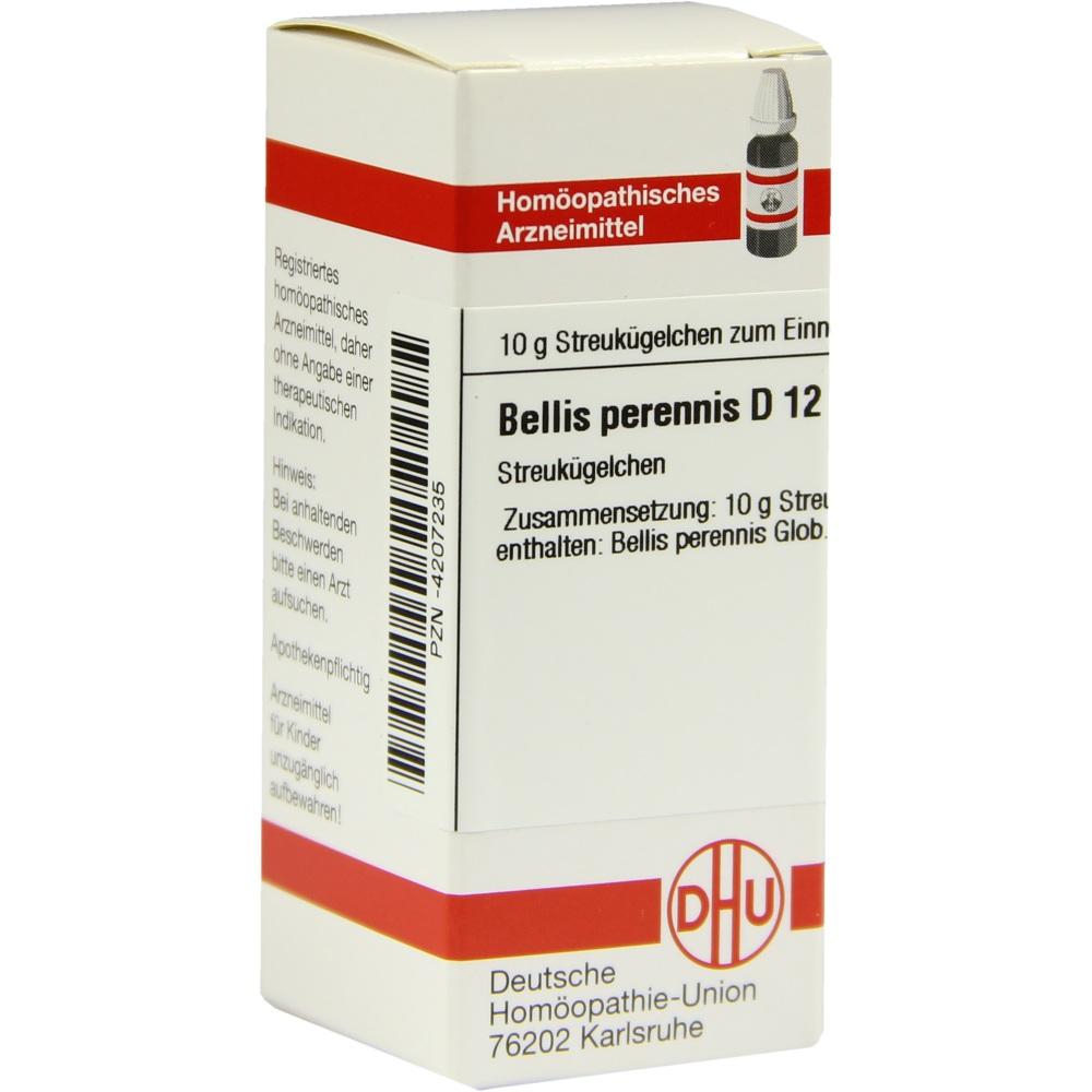Bellis Perennis D12 null