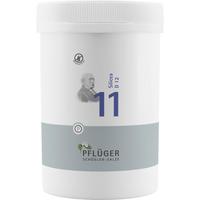 Biochemie Pflüger Nr. 11 Silicea D 12 null