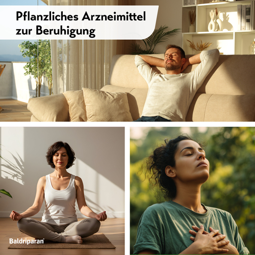 Baldriparan Zur Beruhigung 120 St PharmaSGP bei onfy.de kaufen 17884339