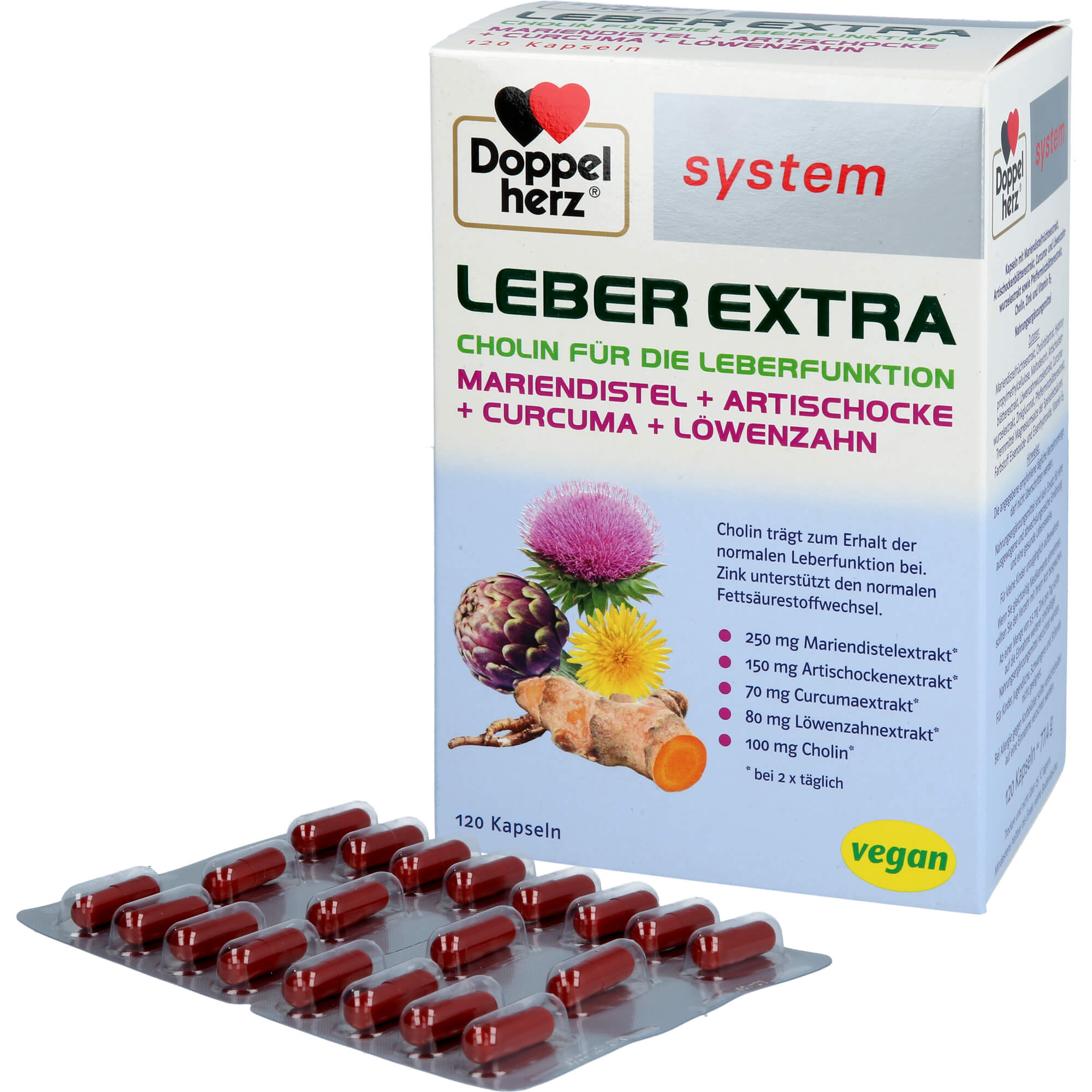 Doppelherz Leber Extra System 120 St Queisser Pharma bei onfy.de kaufen 19267266