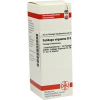 Solidago Virga D 6 null
