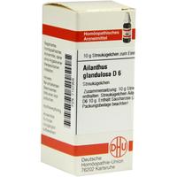 Ailanthus Gland D 6 null