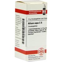 Allium Cepa C 6 null
