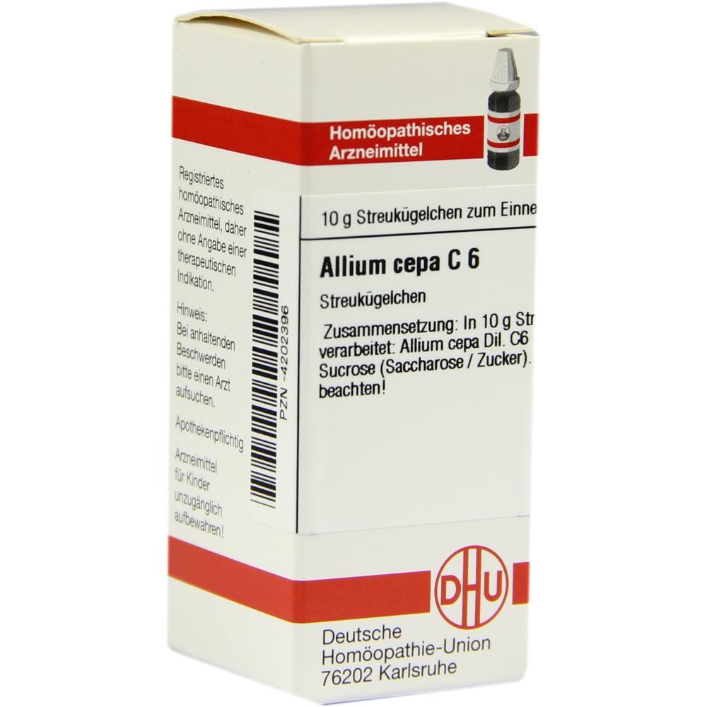 Allium Cepa C 6 null