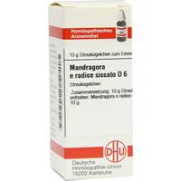 Mandragora E Radic Sic D 6 null