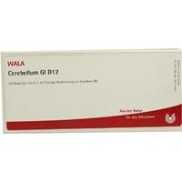 Cerebellum Gl D12 null