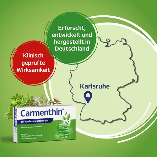 Carmenthin bei Verdauungsstörungen Weichkapsel 42 St Dr.Willmar Schwabe bei onfy.de kaufen 10327618