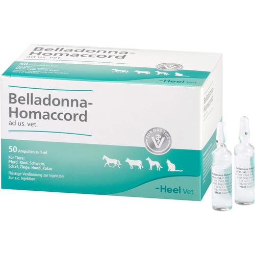 Belladonna Homaccord Vet 50 St Biologische Heilmittel Heel Gmbh bei onfy.de kaufen 02551632