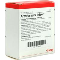 Arteria Suis Inj Org null