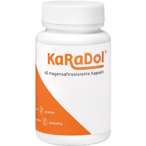 Karadol Kapseln Magensaftresistent 60 St Volopharm GmbH Deutschland bei onfy.de kaufen 19334614