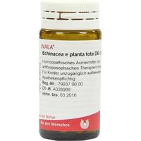 Echinacea E Pl Tota D 6