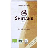 Shiitake Vitalpilz-Bio (terra Mundo) null