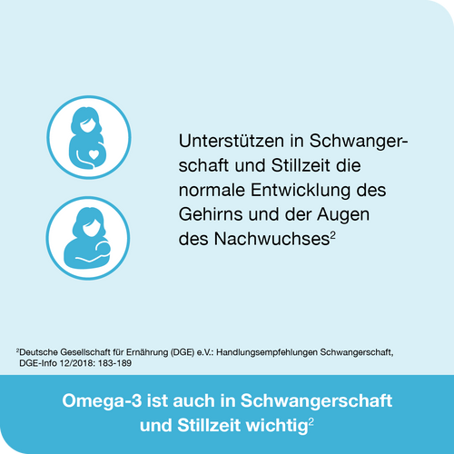 2x Omega3-Loges pflanzlich 120 St bei onfy.de kaufen 2000000000398