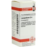 Lycopodium D 4