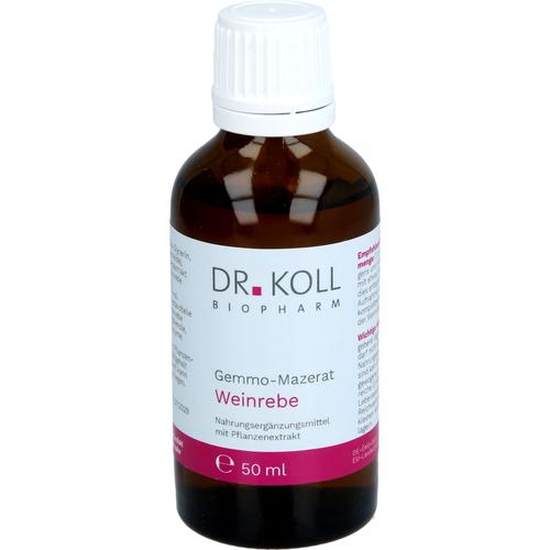 Gemmo-Mazerat Weinrebe Dr. Koll Vitis Vinifera 50 ml Dr. Koll Biopharm bei onfy.de kaufen 20060004