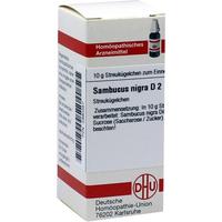 Sambucus Nigra D 2 null