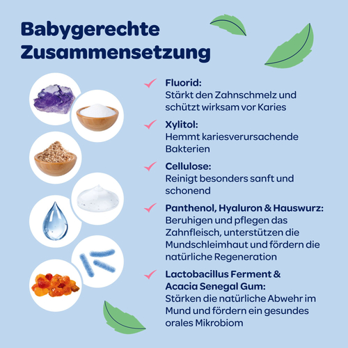 Dentinox Zahncreme Mundflora Baby 30 ml Dentinox Gesellschaft für pharmazeutische Präparate bei onfy.de kaufen 19401368
