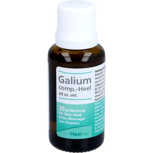 Galium Comp Heel Ad Us Vet 30 ml Biologische Heilmittel Heel Gmbh bei onfy.de kaufen 04658050