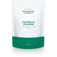 Chlorella Vulgaris