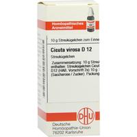 Cicuta Virosa D12 null