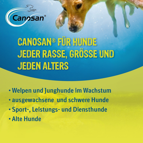 Canosan Konzentrat 1300 g Boehringer Ingelheim VETMEDICA bei onfy.de kaufen 08594157