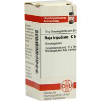 Naja Tripudians C 6 null