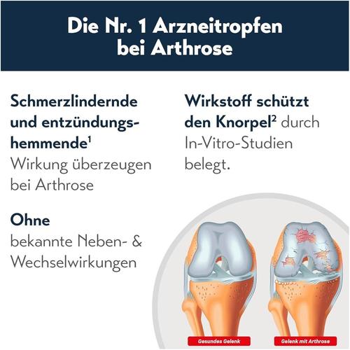 Rubaxx Arthro 2x50 ml PharmaSGP bei onfy.de kaufen 00990884