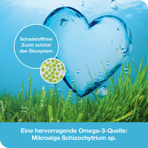 2x Omega3-Loges pflanzlich 120 St bei onfy.de kaufen 2000000000398