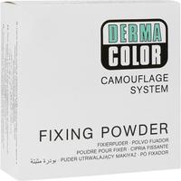 Dermacolor Camouflage Fixierpuder Large 60G P1 null