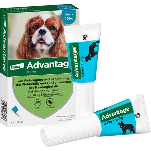 Advantage 100 Hund 4 St Elanco Deutschland Gmbh bei onfy.de kaufen 08613311