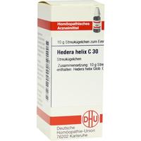 Hedera Helix C30 null