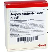 Herpes Zost Nos Inj null