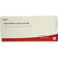 Viscum Mali E Pl Tota D 6 null