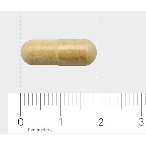 Orthica Silymarin-360 90 St Supplementa bei onfy.de kaufen 18067536