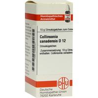Collinsonia Canadens D12 null