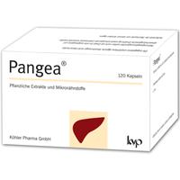 Pangea null