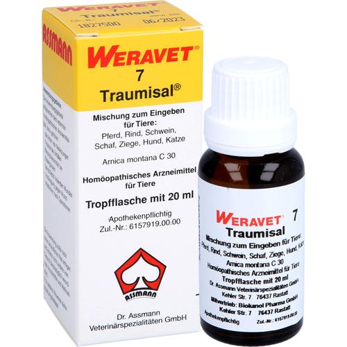 Traumisal 7 Vet 20 ml Biokanol Pharma Gmbh bei onfy.de kaufen 02538494