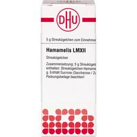 Hamamelis Lm Xii null