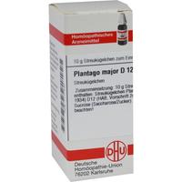 Plantago Major D12 null